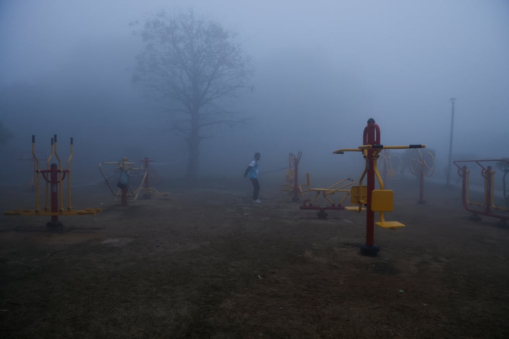Un brouillard intense a new delhi