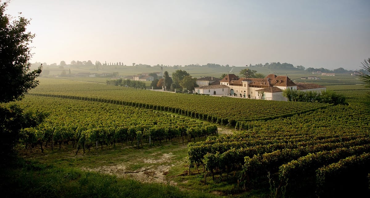 Affaire prospère, le vignoble a réalisé un chiffre d'affaires de 25 millions en 2024.