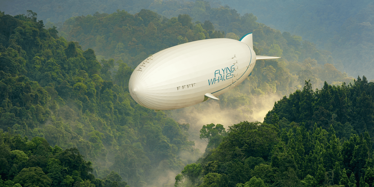 Flying Whales