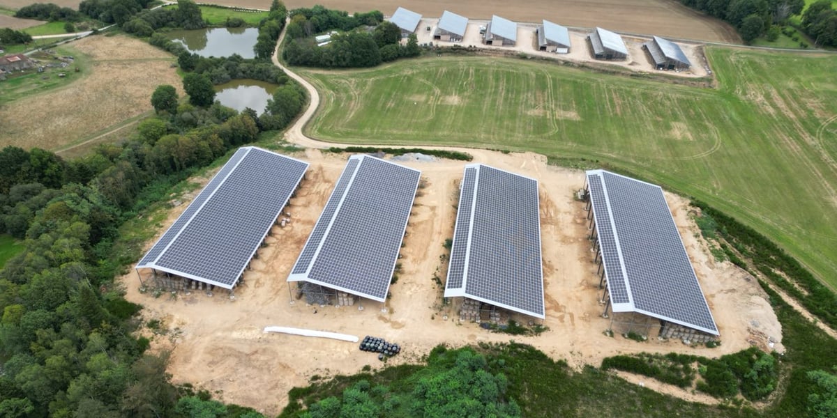 Le projet est porté par le groupe T'Rhéa qui emploie 780 salariés et commercialise plus de 115.000 tonnes de viande par an.
