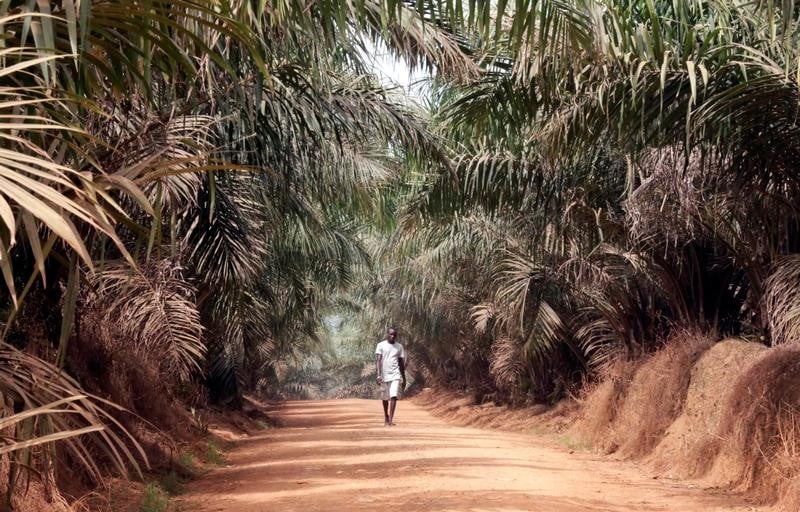 Fin de la mission de maintien de la paix de l'onu au liberia