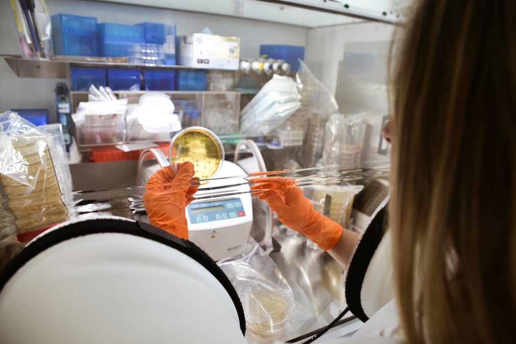 Microbiote