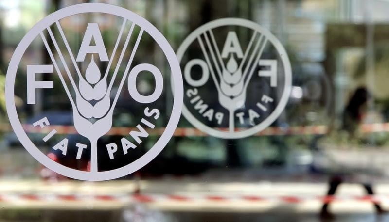 Coree du nord: l'impact de la secheresse sera limite, dit la fao