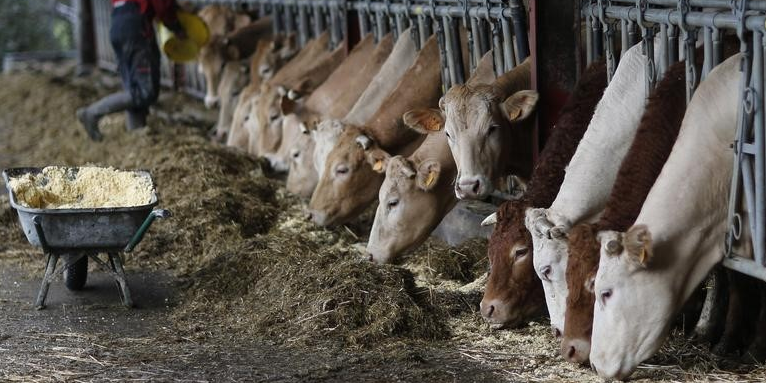 Reunion a bruxelles des ministres de l'agriculture de l'ue