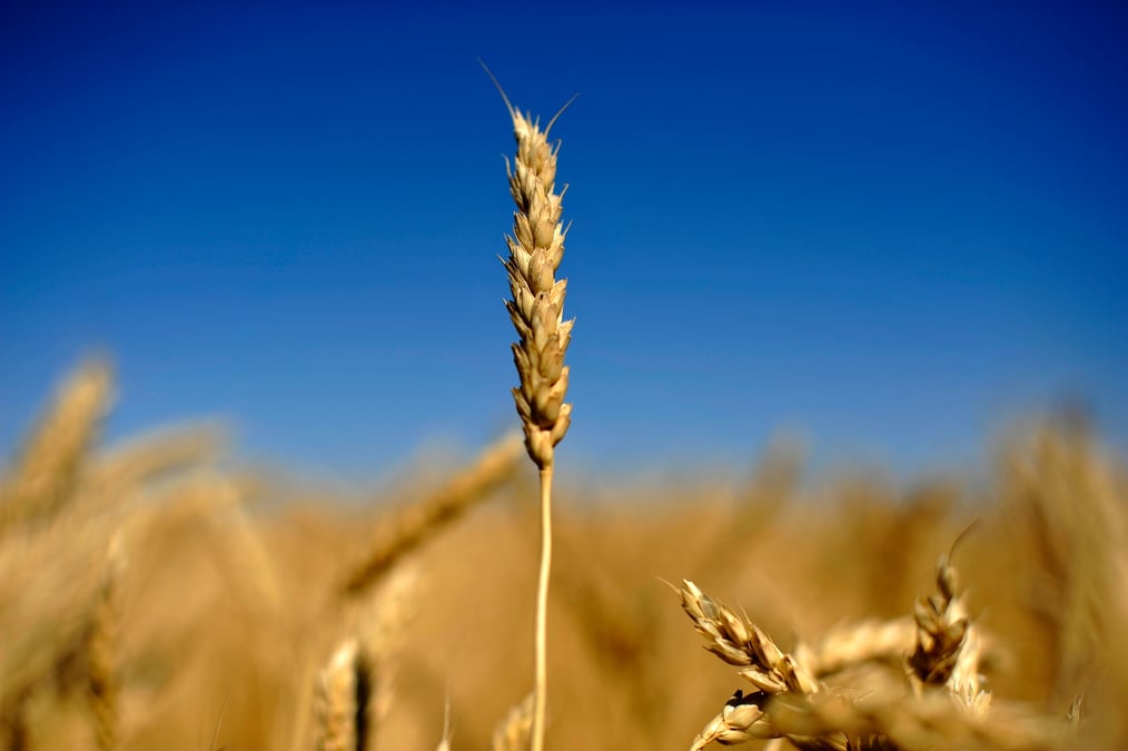 Cereales ukrainiennes: la turquie annonce un accord sur la reprise des exportations