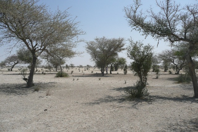 Sahara Sahel climat sécheresse