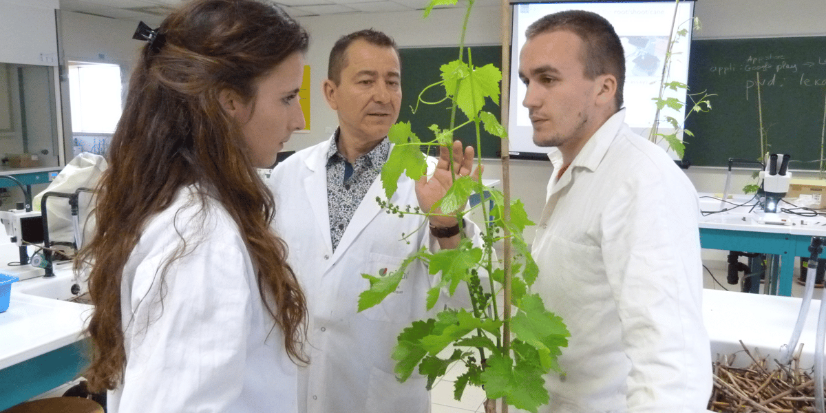 Laurent Torregrosa, directeur de l'Institut des Hautes Etudes de la Vigne et du Vin (IHEV)