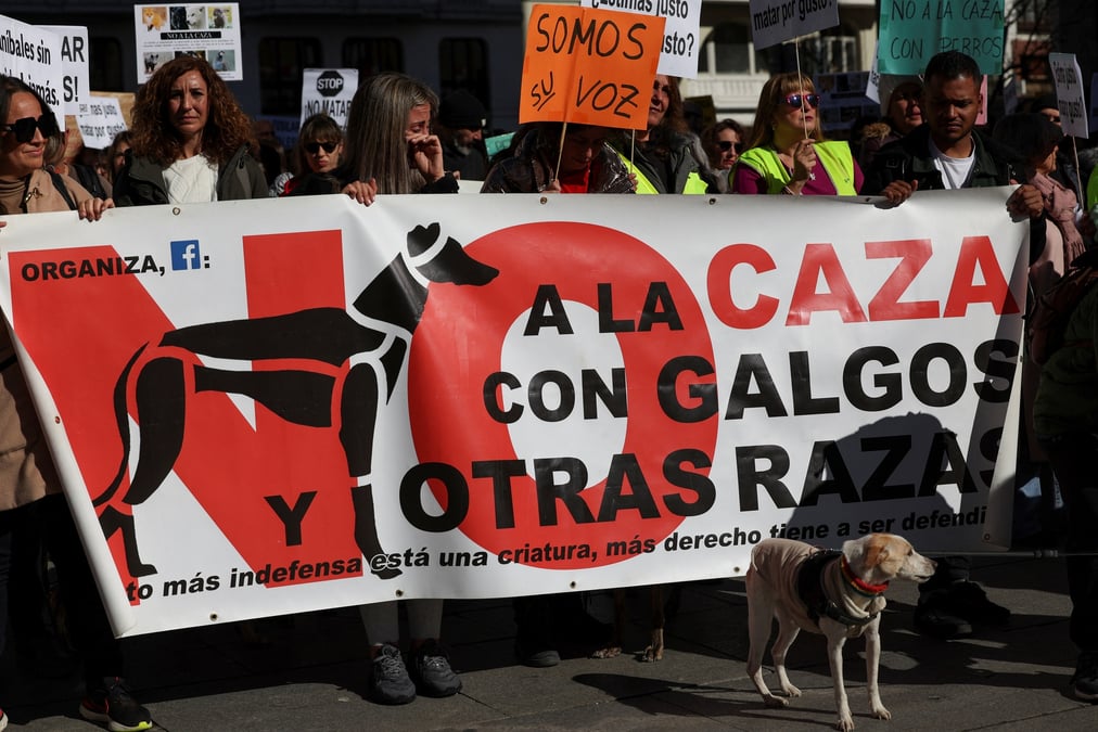 Une manifestation a madrid, espagne, contre le fait que les chiens de chasse aient ete exclus d'un projet de loi sur les droits des animaux