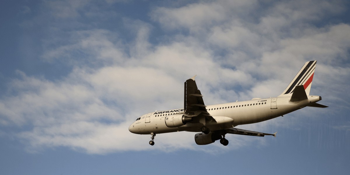 Un avion airbus a320 d'air france atterrit a l'aeroport charles de gaulle pres de paris