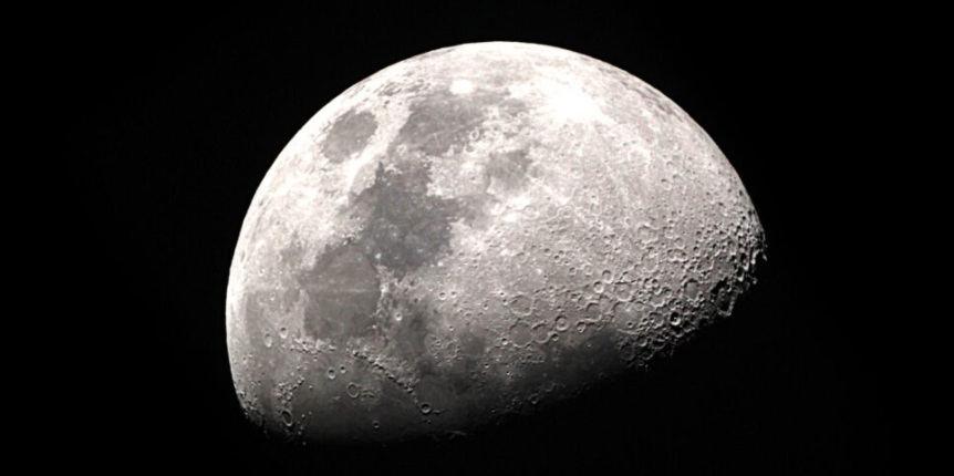 Le programme Lunar Hatch évalue le potentiel des oeufs de poissons à voyager pour aller éclore sur la Lune.