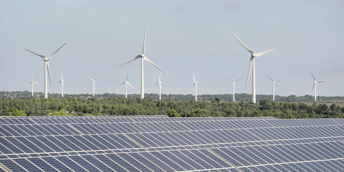 Greenpeace prend l’exemple du solaire. La France s’est fixé comme objectif d’installer une capacité de 66 à 77 mégawatt (Mw) par km² d’ici 2030, quand les cinq autres pays oscillent entre 114 et 416 Mw par km².
