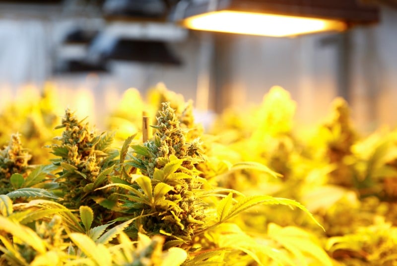 Le trafic de drogue represente plus de 0,1 point de pib