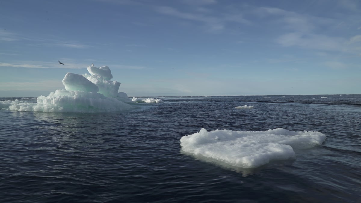 La banquise arctique a atteint sa deuxieme superficie la plus faible