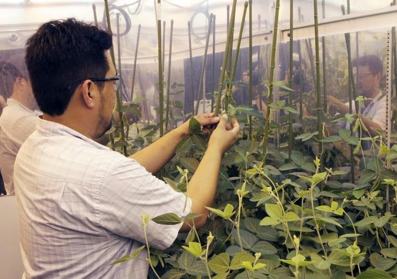 Monsanto veut rassurer syngenta sur une possible fusion