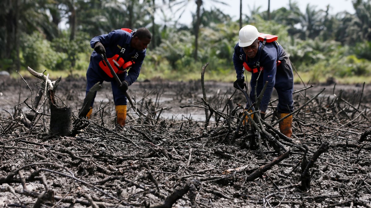 Mangrove Littoral aires marines environnement mer océan