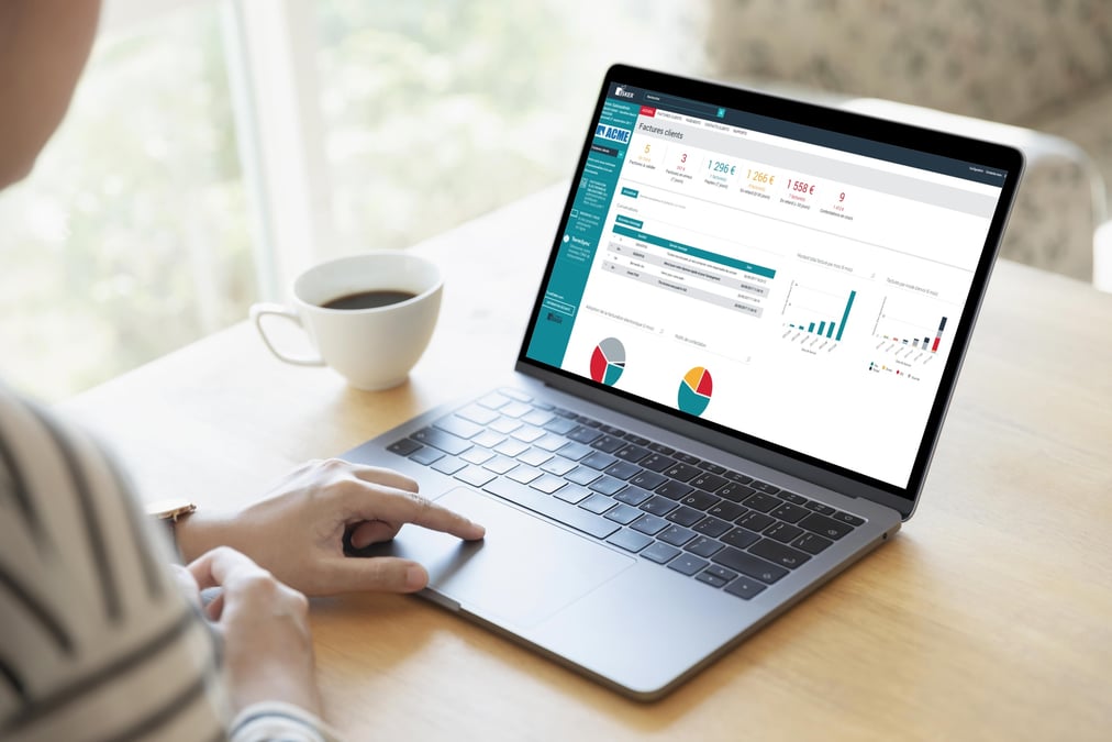 L'activité principale d'Esker porte sur les "logiciels en tant que service" (gestion comptable, marketing, relation client, communication interne), accessibles via internet, généralement sur droit d'accès (abonnement) et sans installation (paiement d'une licence).