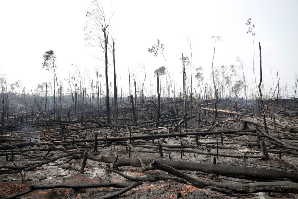 Les incendies en Amazonie ont contribué à sensibiliser les Français aux enjeux écologiques