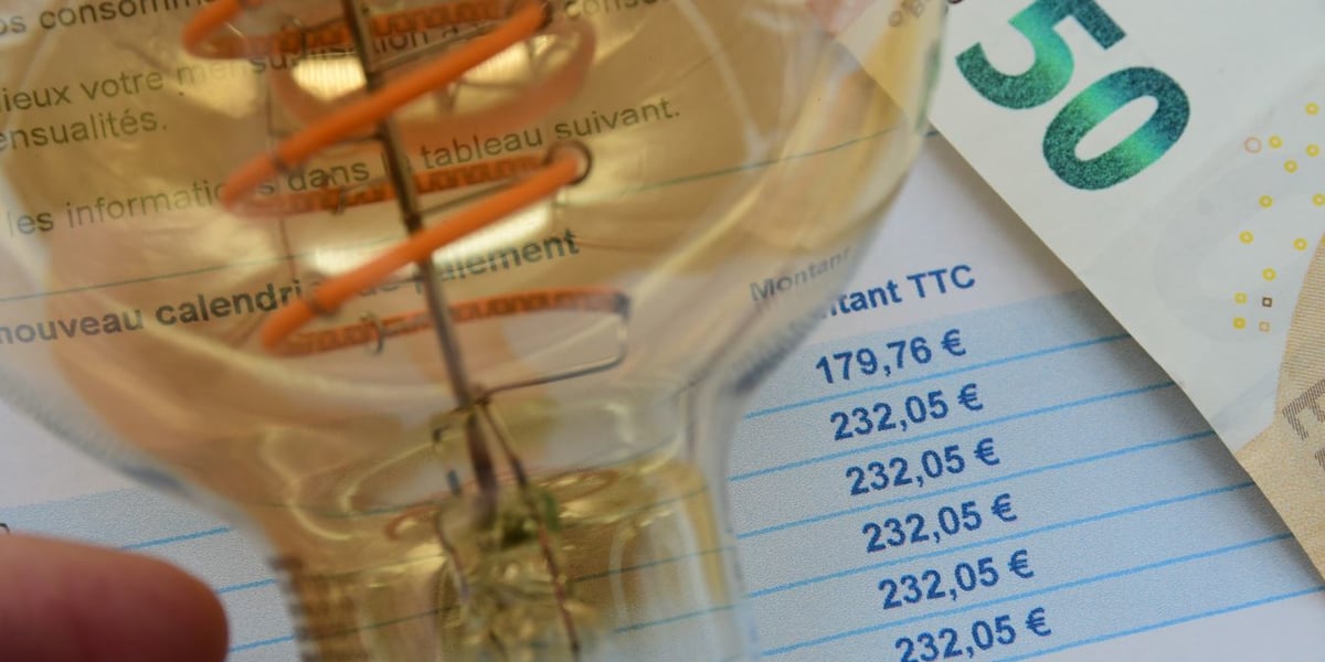 Pour une famille très gourmande en électricité (14 MWh par an), les annualités passeront de 3.600 à 2.948 euros.