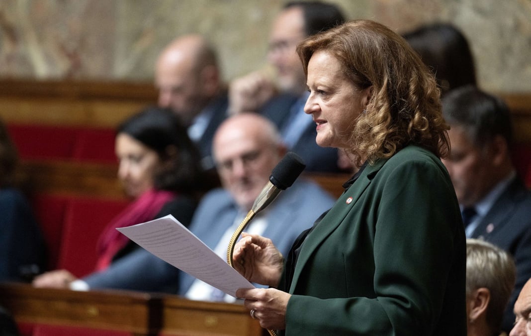 La députée Anne-Cécile Violland à l'Assemblée nationale le 2 octobre 2024.