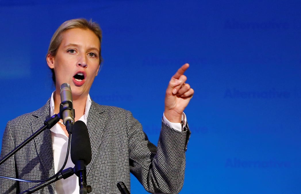 Allemagne: l'afd se defend d'accusations de financement illegal
