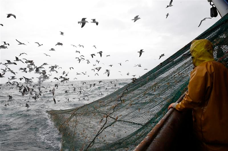 Frédéric Cuvillier promet des aides pour les pêcheurs bretons