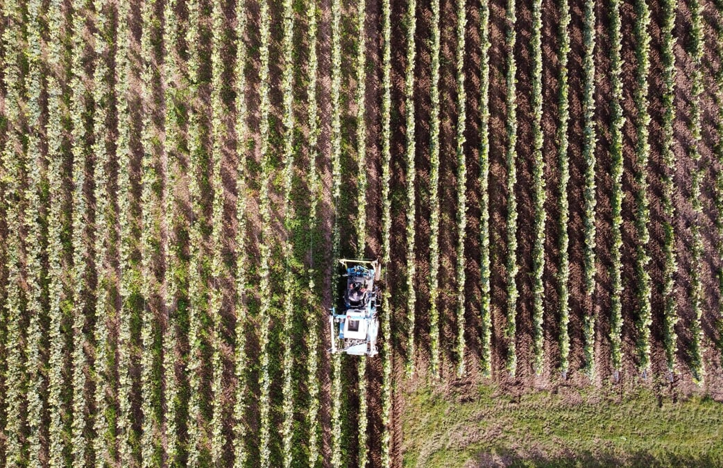 France: feuillatte et castelnau fusionnent pour creer un geant du champagne