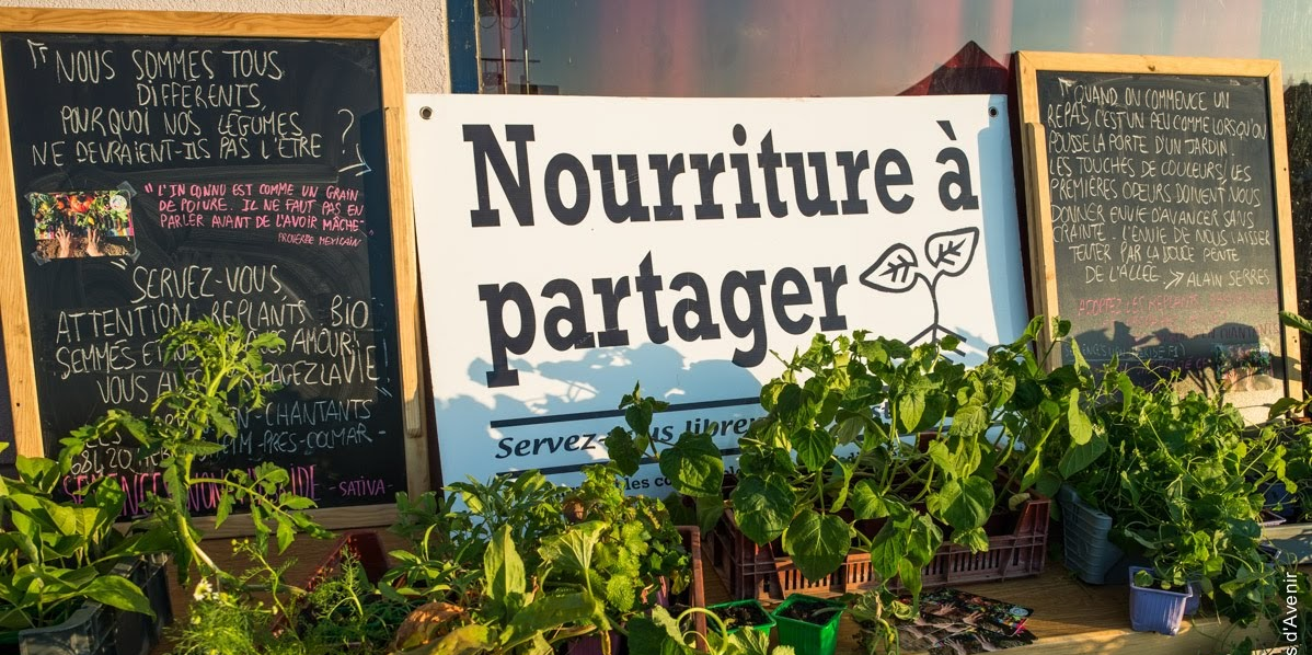 permaculture, bio, agriculture