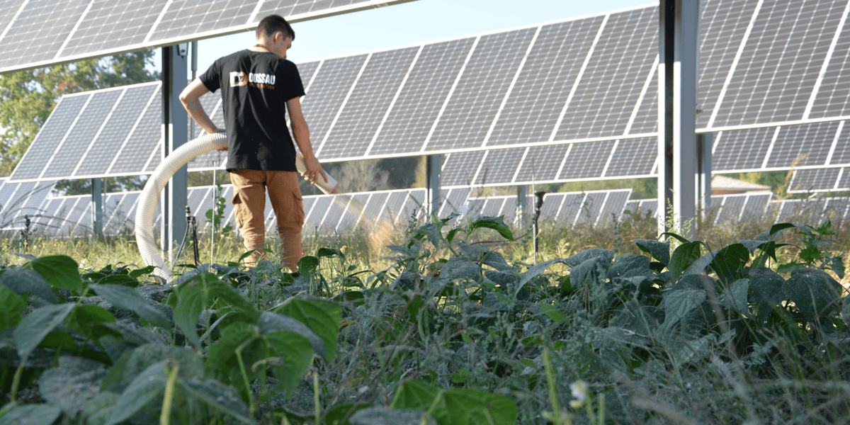 glhd landes agrivoltaïque solaire
