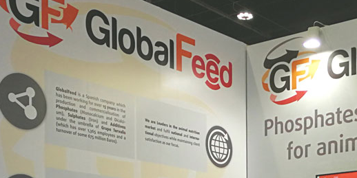 GlobalFeed espagne