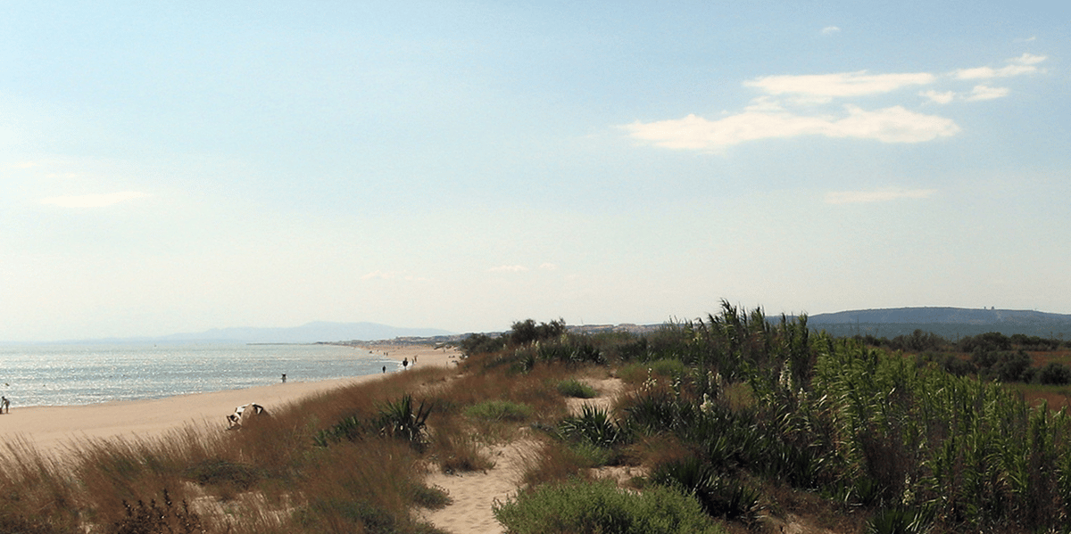 L'Eurorégion Pyrénées-Méditerranée a validé une Aire fonctionnelle Littorale Est, qui couvre une zone s'étendant de l'Ebre en Catalogne jusqu'à l'Aude (photo).