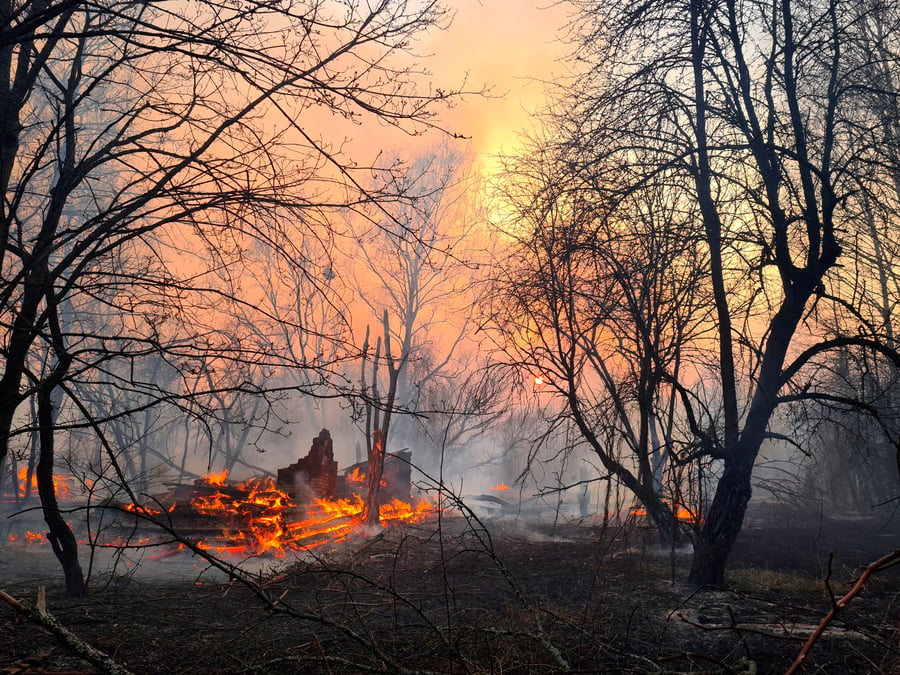 Feux de foret autour de tchernobyl, la radioactivite normale, selon les autorites