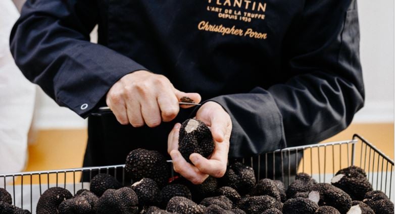 maison Plantin