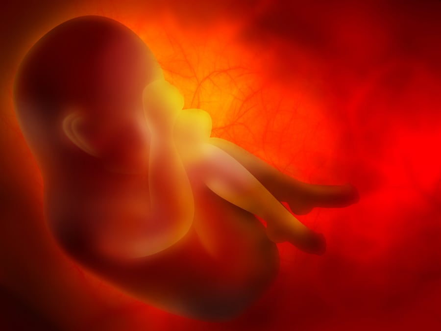 bébé, nouveau né