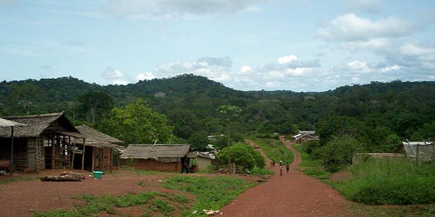 Ngoila Congo forêt