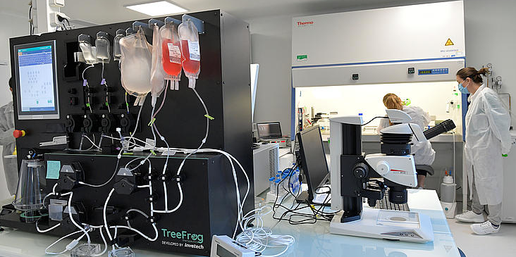 Treefrog Therapeutics inauguration 2