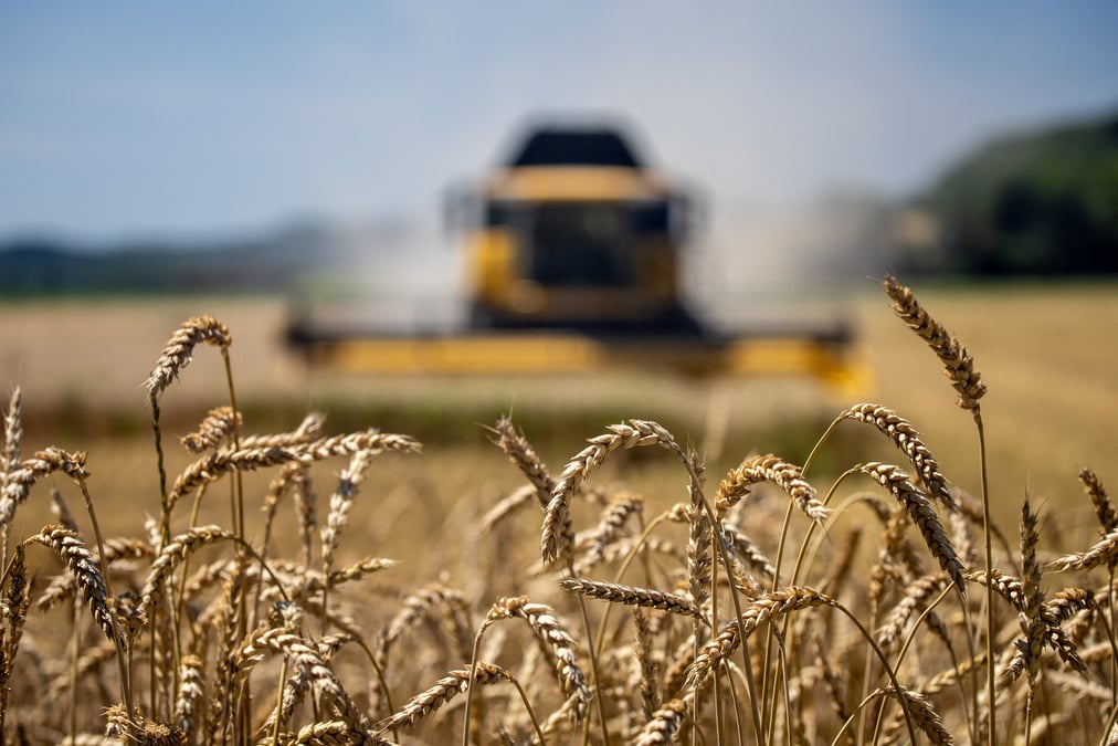 Le plan national d'adaptation climatique, prend pour hypothèse une hausse des températures par rapport à l'ère pré-industrielle de +2,7°C en France en 2050.