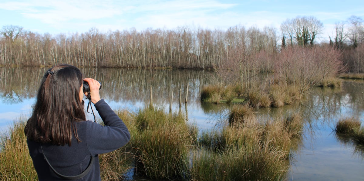 Au nord de Pau, CDC Biodiversité gère un site de compensation environnementale de l'autoroute A65.