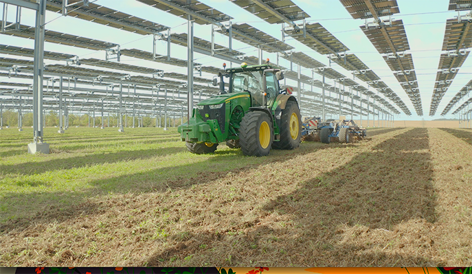 Une expérimentation agroécologique en agriphotovoltaïsme menée par le groupe Alliance BFC, à Verdonnet, en Côte-d'Or.