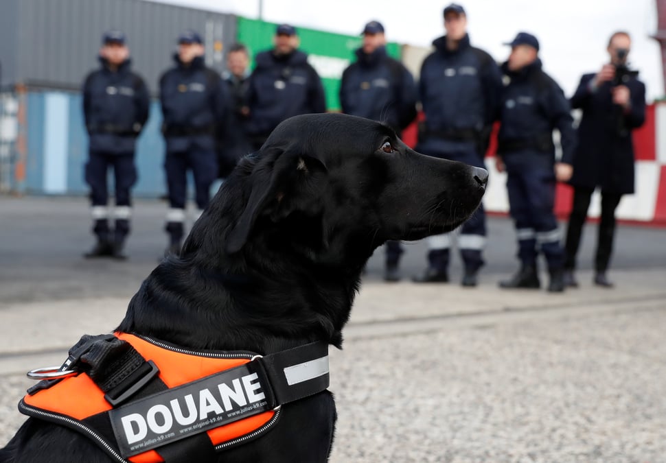 Decouverte d'un arsenal chez un particulier