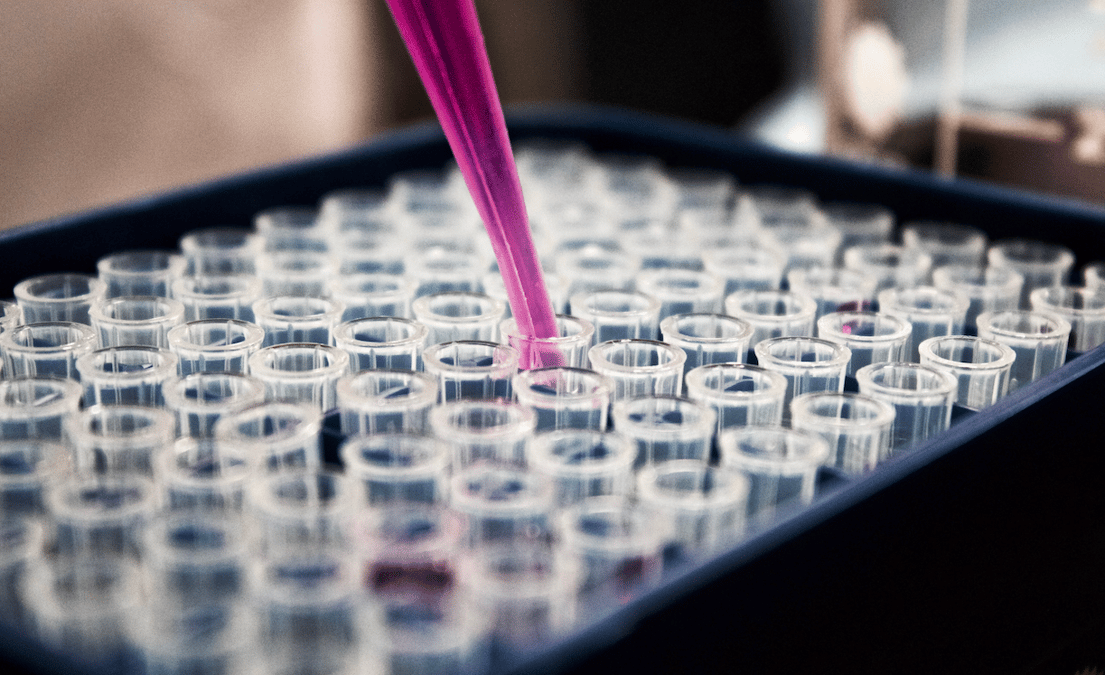 laboratoire R&D