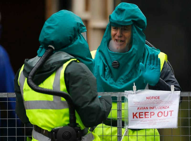 L'OMS prévoit peu de cas humains avec la grippe aviaire H5N8