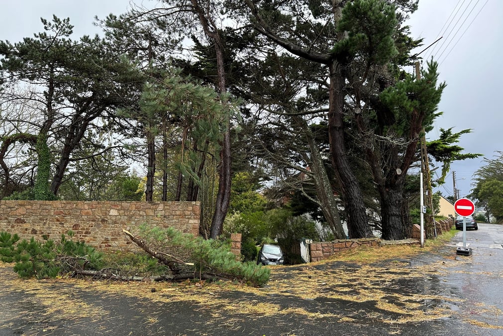 Inondations, toitures endommagés, voitures abandonnées... Sans surprise, ce sont les régions de la Bretagne, la Normandie, le Nord-Pas-de-Calais, la Nouvelle-Aquitaine et la Corse qui ont été les plus touchés par les deux tempêtes.