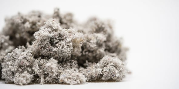 Ouate de cellulose pour l'isolation thermique (entreprise Ouattitude dans l'Hérault)
