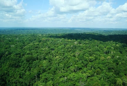 Le pari vert de la Guyane : une énergie 100 % décarbonée d’ici 2027.