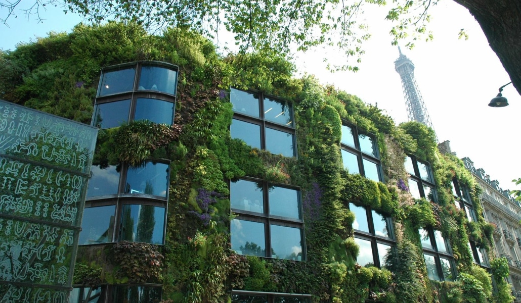 Les murs végétalisés permettent une meilleure isolation, plus de fraîcheur et de biodiversité.