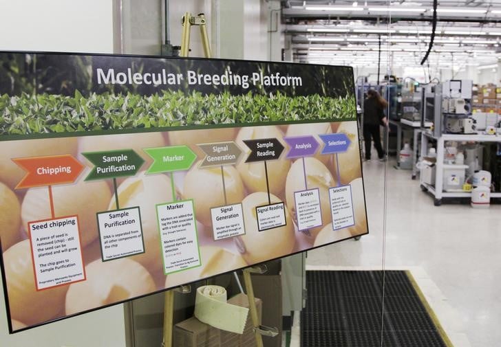 Benefice en net recul au premier trimestre pour monsanto
