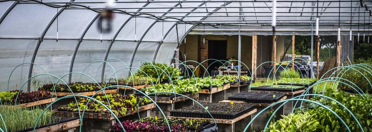 "Pour relocaliser 10% de la consommation de légumes frais autour de villes comme Pau ou Valence, ce sont 50 à 100 fermes qu'il faut créer", affirme le groupe coopératif
