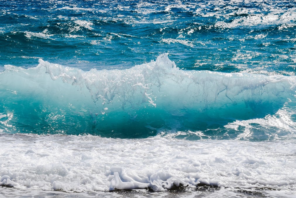ALTDE_Grâce au soleil, cette usine va dessaler l’eau de mer