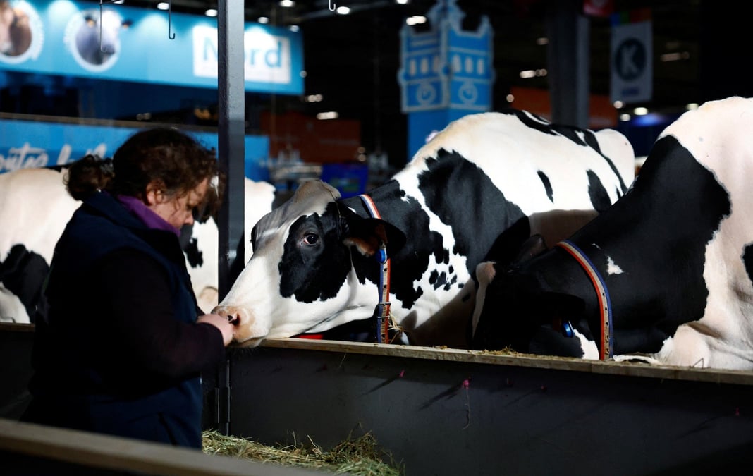 Le Salon de l'agriculture ouvre ses portes samedi 22 février.