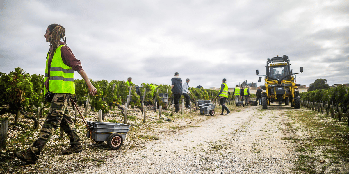 Dossier Vin Bordeaux Covid-19